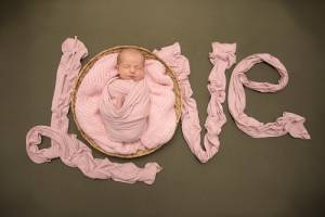 Vicky FERRE - VICKY FERRE PHOTOGRAPHIE